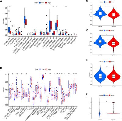 Identification of a lncRNA based signature for pancreatic cancer survival to predict immune landscape and potential therapeutic drugs